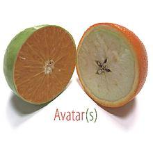 NICE «Avatar(s)» à l'Atelier Soardi