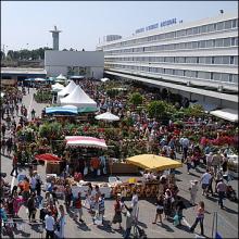 MIN EN FETE 2008 NICE Marché d'Intérêt National Saint Augustin MIN EN FETE 2008 NICE Marché d'Intérêt National Saint Augustin