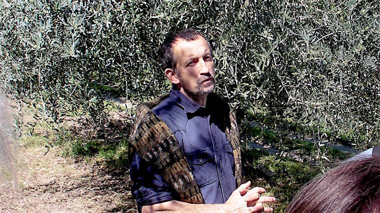 Nice Huile d’olive bio ChampSoleil Médaille d’Or au Concours ATHIOOC 2016 henri-derepas-champsoleil-1